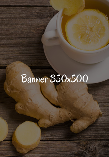 banner-01-350x500
